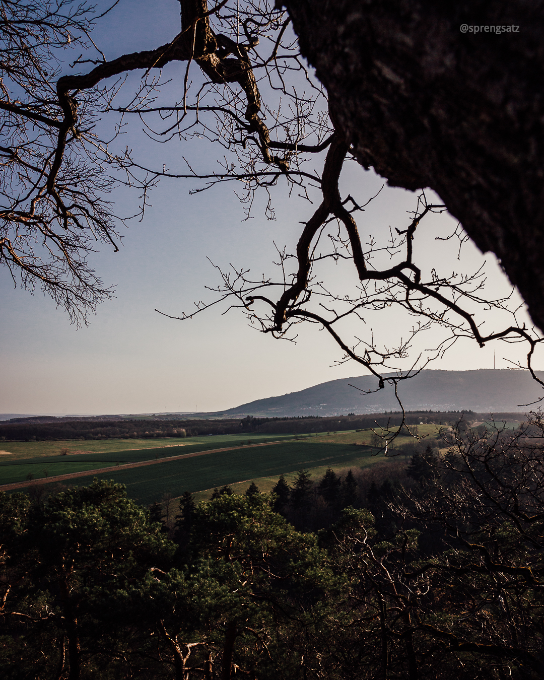 Baumäste die in den Himmel ragen (Schillerhain Kirchheimbolanden, Blick auf den Donnersberg)