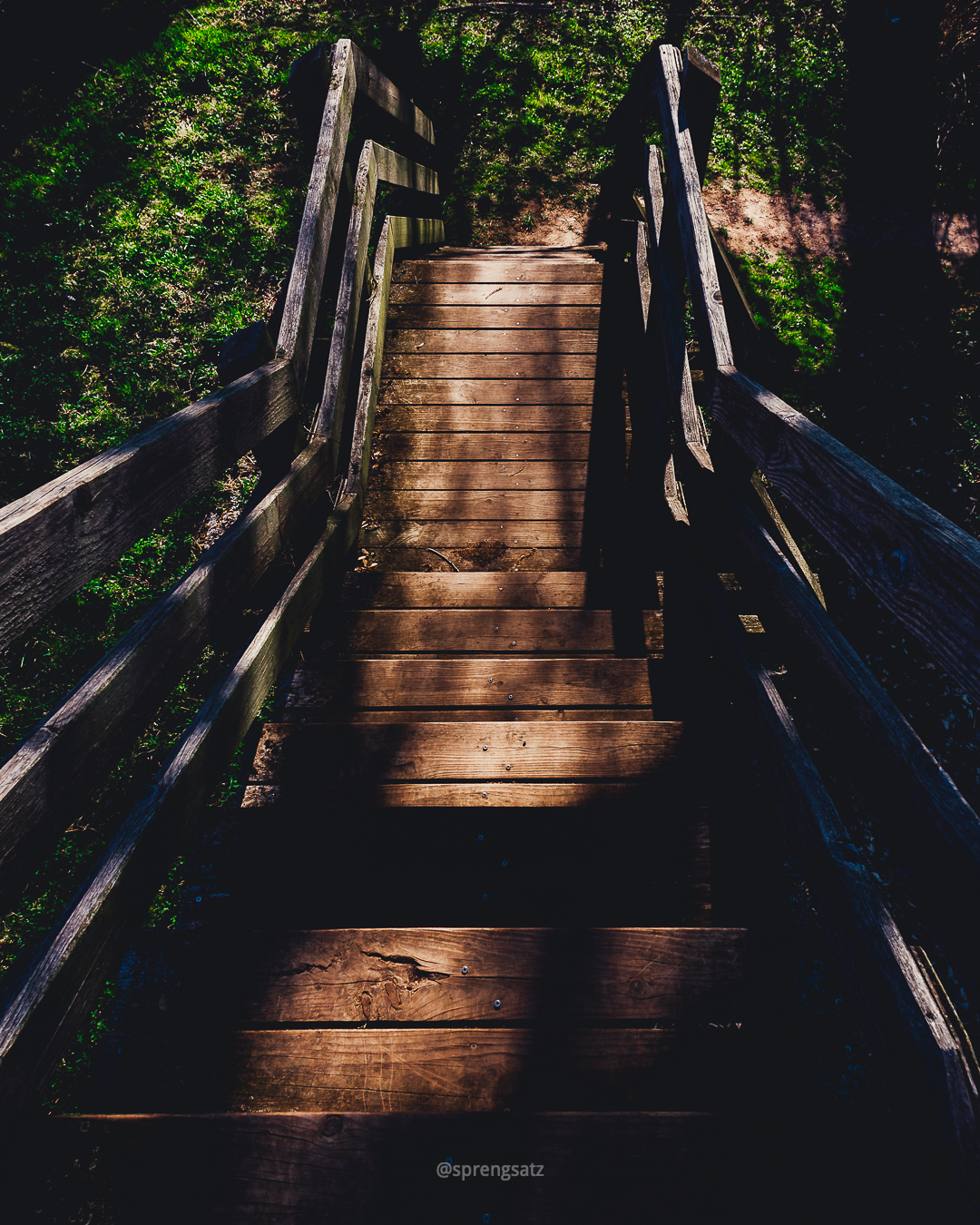 Holztreppe im Biotop (Albisheim/Pfrimm)