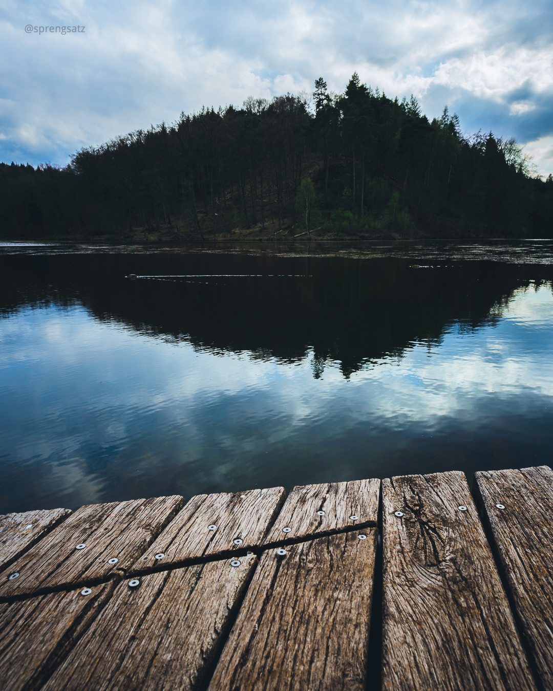 Blauer Himmel und Waldstück spiegeln sich im Eiswoogsee (Ramsen)