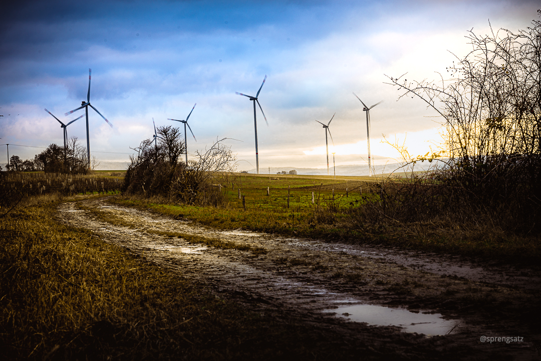 Landschaft mit Windrädern zur Goldenen Stunde