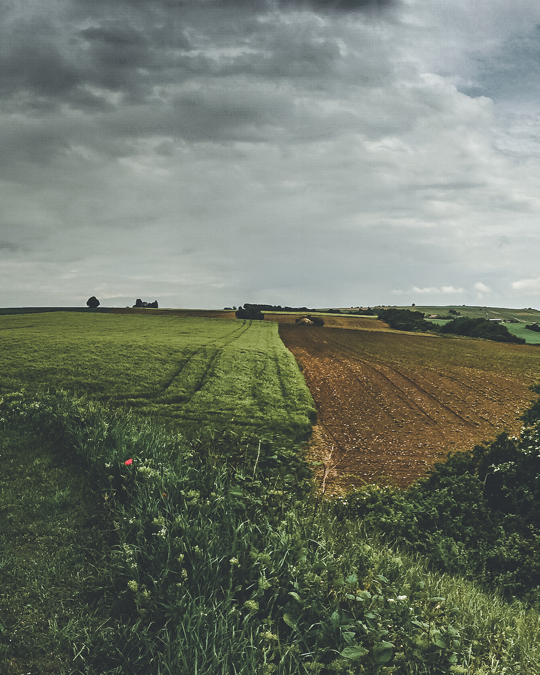 Panorama am Osterberg zwischen Stetten und Einselthum mit Blick auf das Zellertal