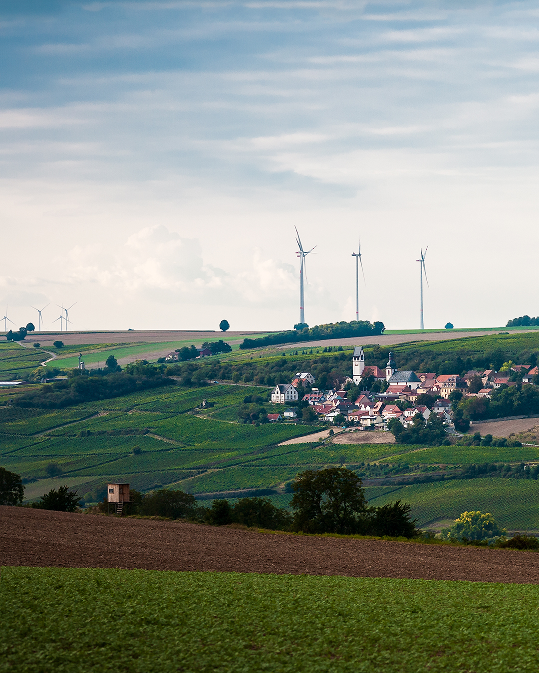 Zellertal-Panorama entlang der Panoramastraße zwischen Zell und Mölsheim im Zellertal