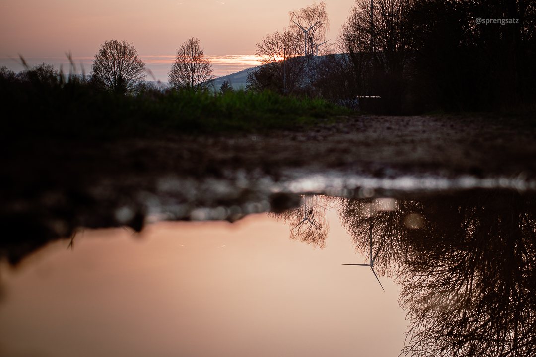 Pfütze mit Spiegelungen in der Abenddämmerung (Albisheim)