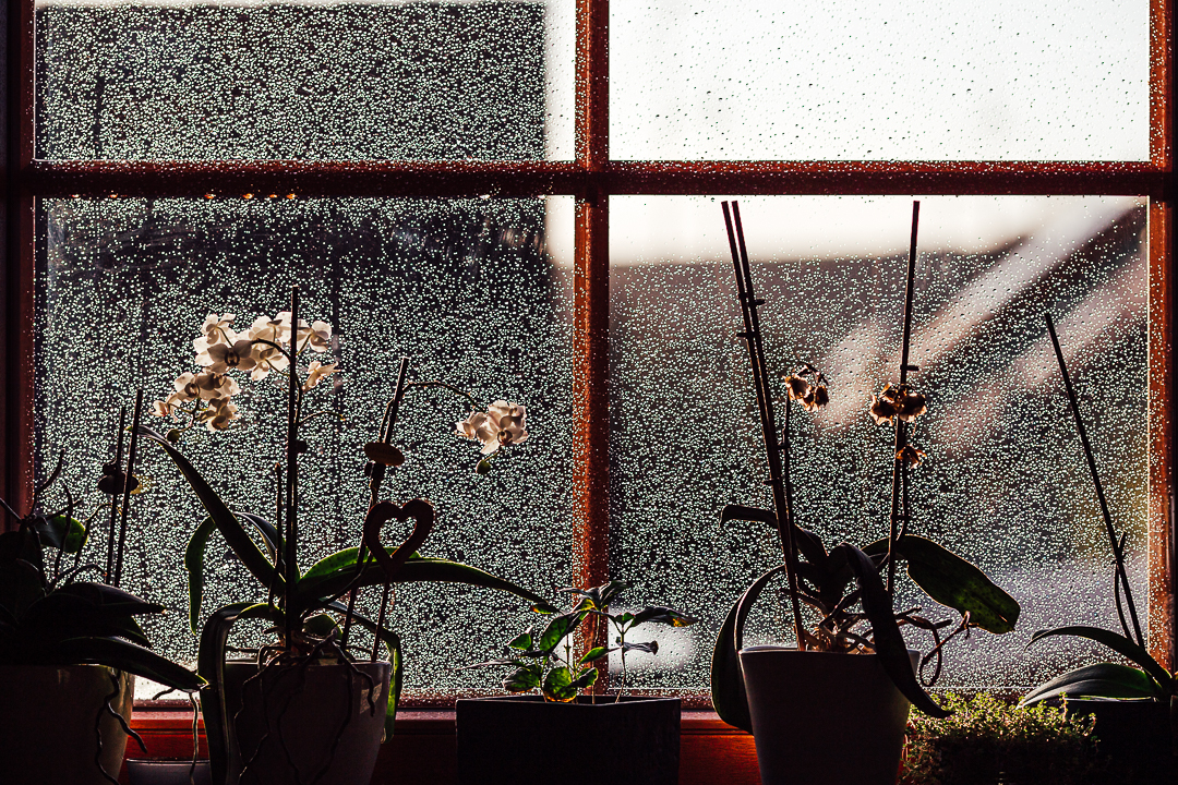 Fensterscheibe mit vielen kleinen Regentropfen