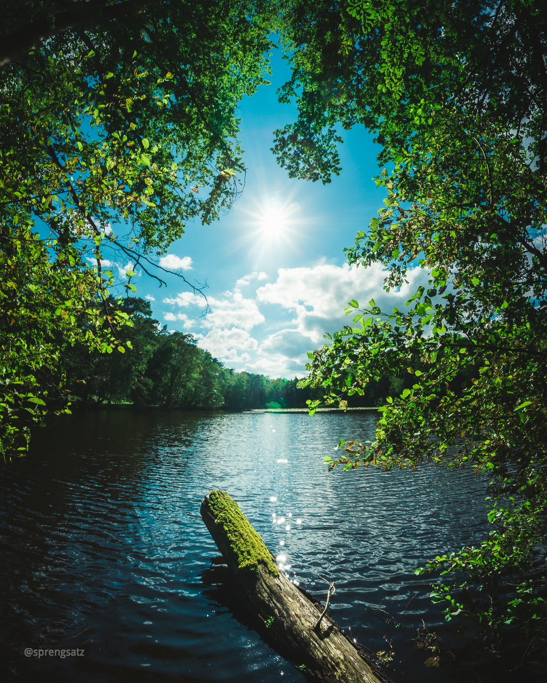 Retzbergweiher (Sippersfelder Weiher) in Sippersfeld (Donnersbergkreis)