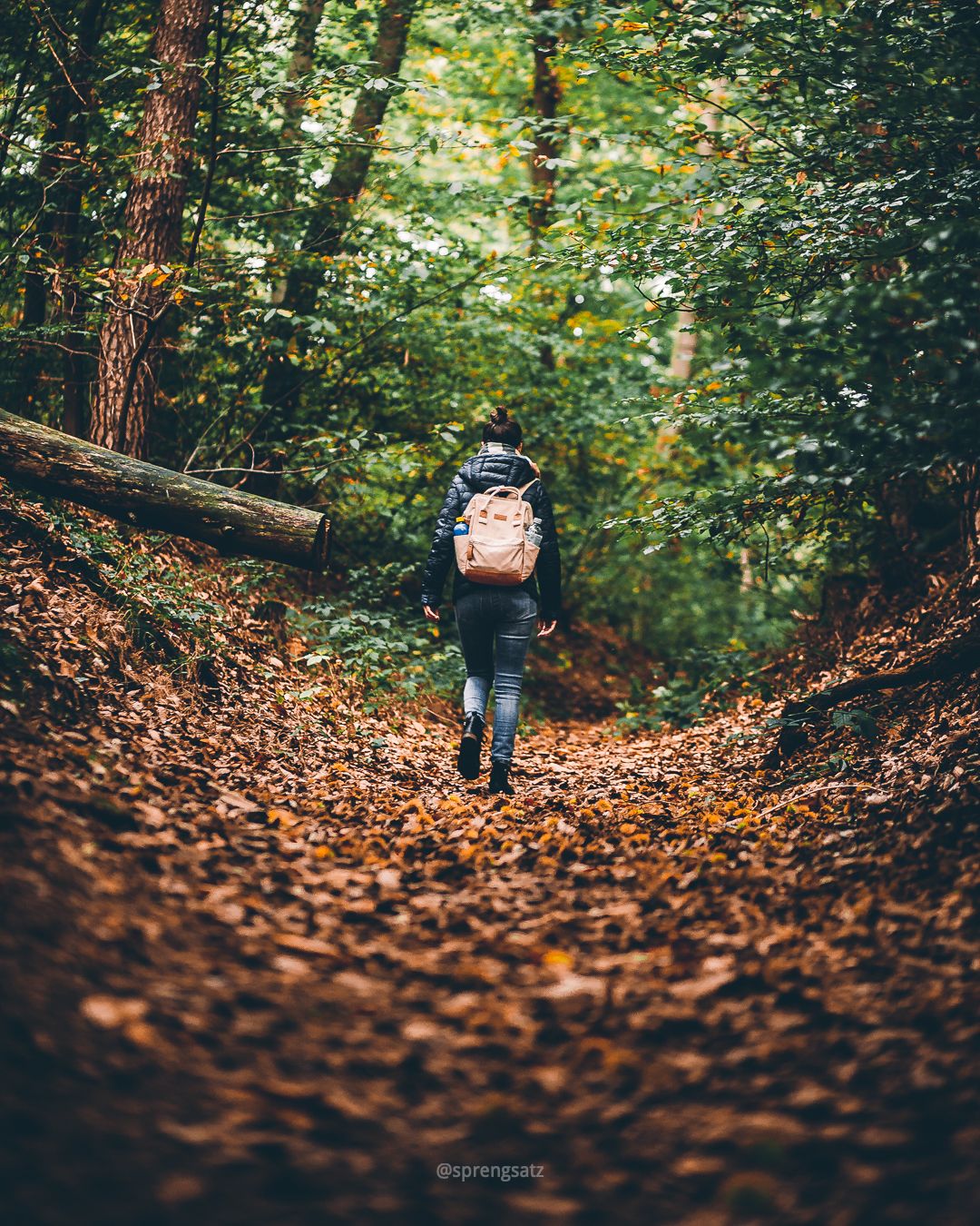 Frau bei einer Wanderung im herbstlichen Göllheimer Wald