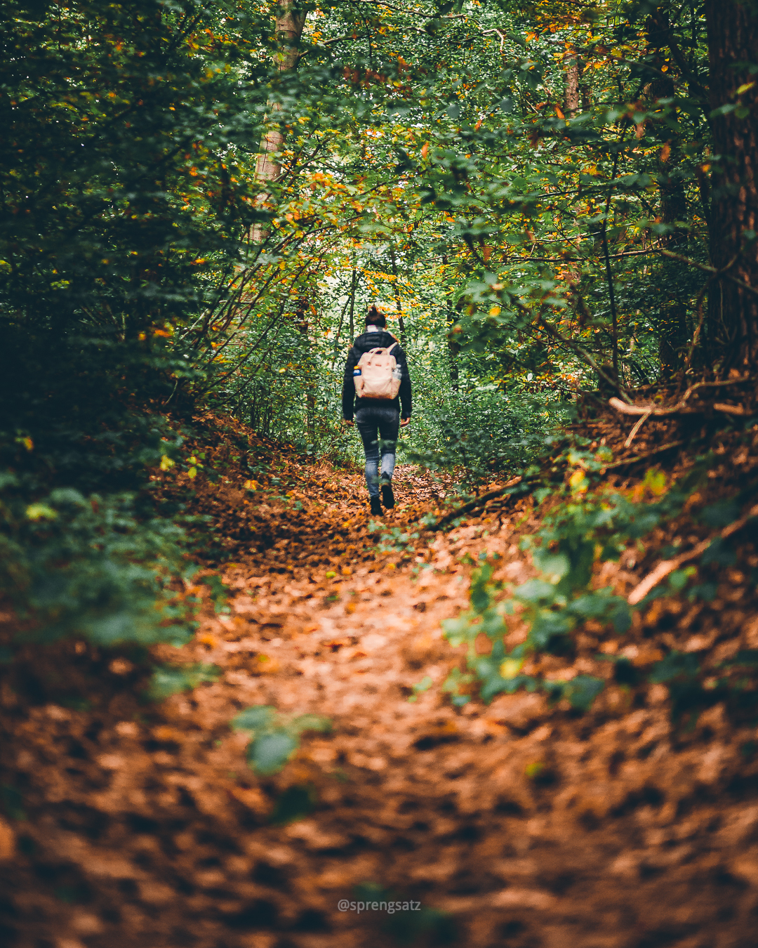 Frau mit Rucksack wandert durch den Göllheimer Wald