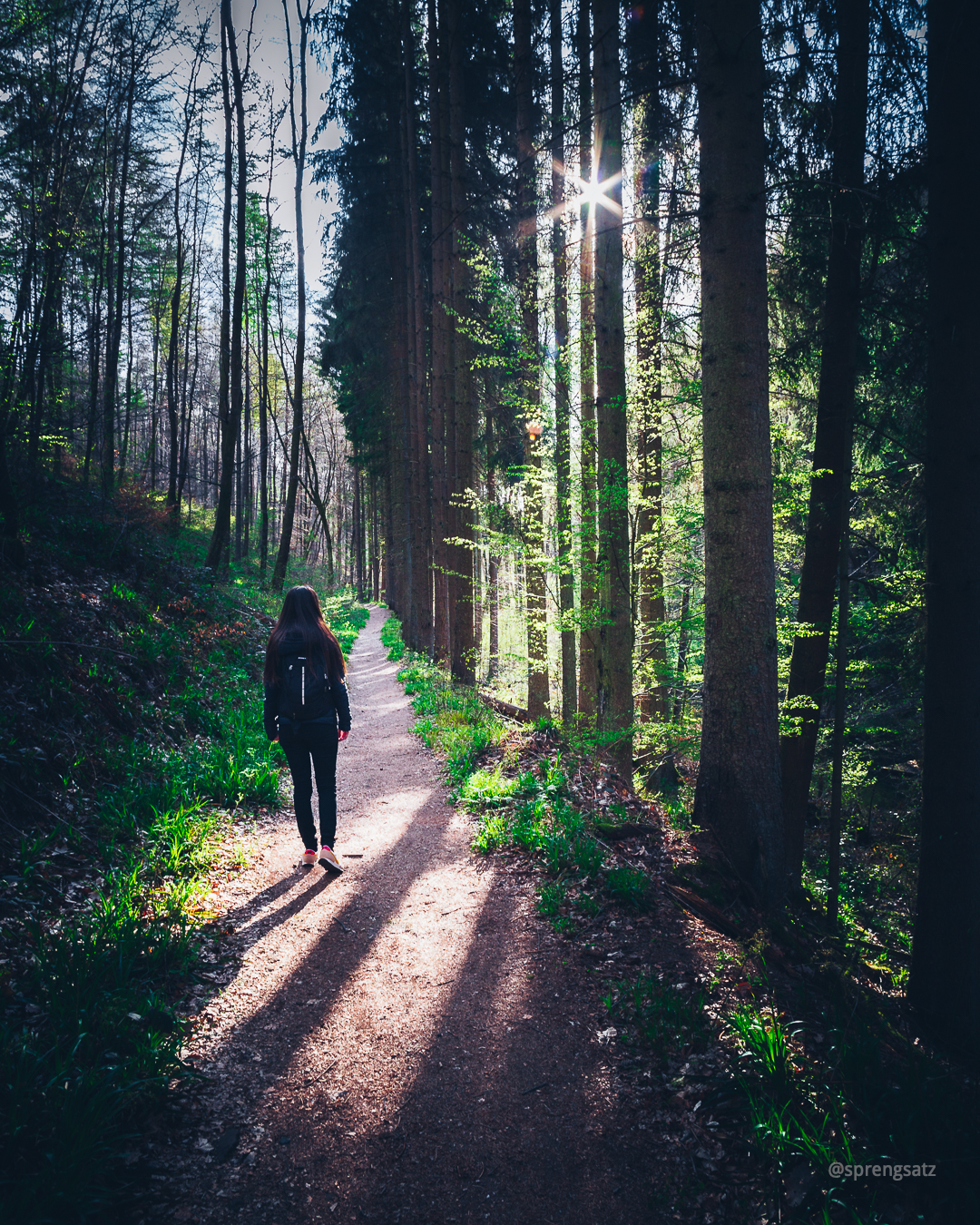 Eine Frau spaziert auf einem Waldweg der teilweise durch Sonnenstrahlen beleuchtet wird